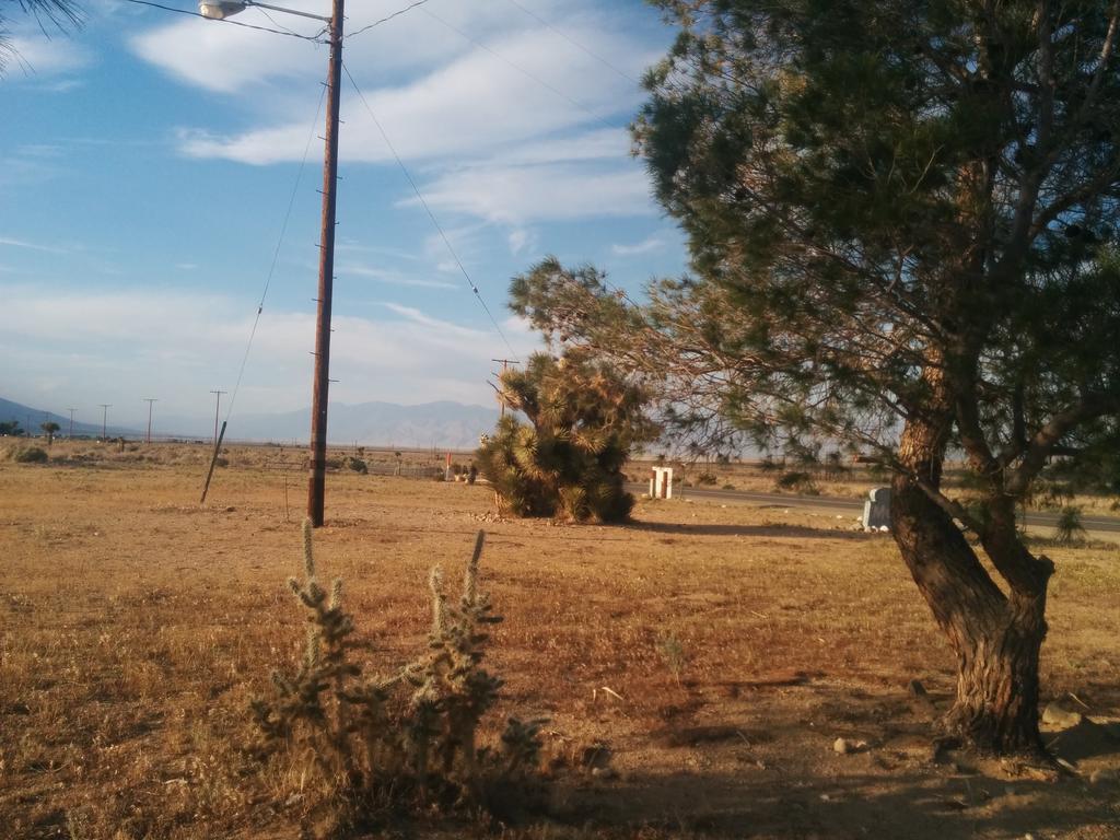 Rustic Oasis Motel Olancha Exterior foto